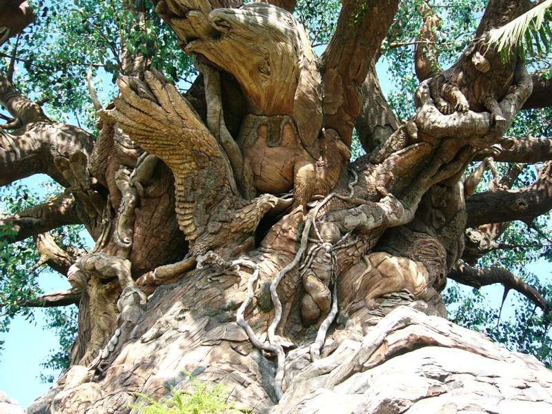 Tree of Life closeup (7).JPG